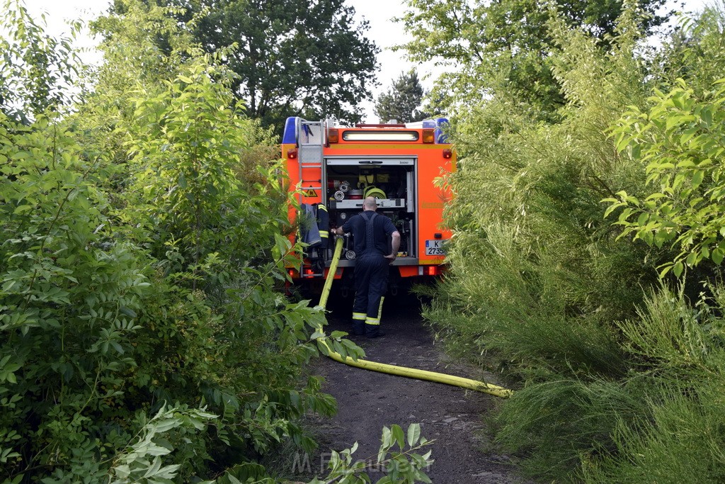 Waldbrand Koeln Hoehenhaus Hoehenfelder Mauspfad P160.JPG - Miklos Laubert